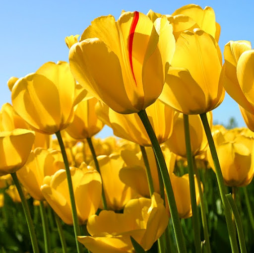 Ruth Villanueva Photo 24