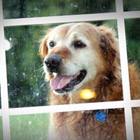 Laura Blythe Photo 11