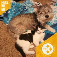 Colby Booth Photo 19