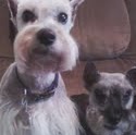 Lou Snyder Photo 24