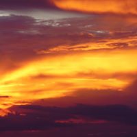 Laurie Adrian Photo 5