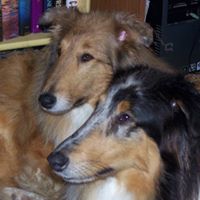 Lynn Brown Photo 34