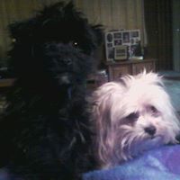 Janice Downs Photo 19