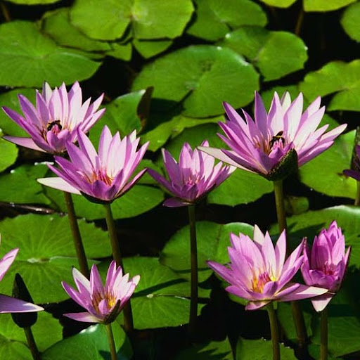 Debbie Houser Photo 10