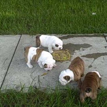 Gayle Thompson Photo 21