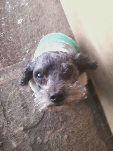 Donna Hodges Photo 18