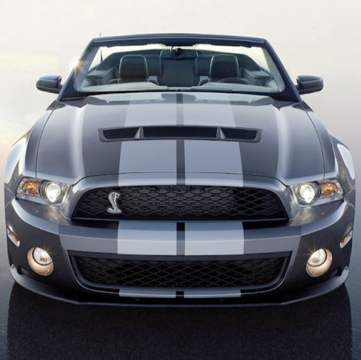 Annette Collins Photo 17