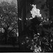 Julia Atkinson Photo 23