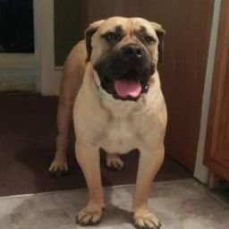 Stephanie Henry Photo 11