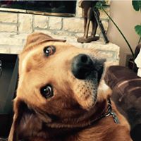 Stacy Garland Photo 25