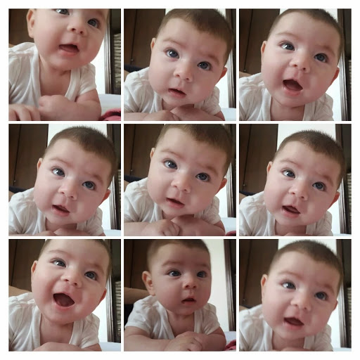 Maximino Rodriguez Photo 8