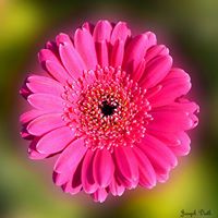 Melinda May Photo 39