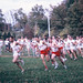 Harding Cross Photo 6