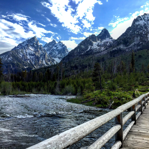 Robert Hogan Photo 47