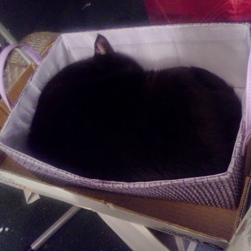 Laura Vickers Photo 37