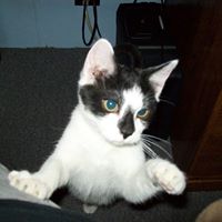 Michelle Sutherland Photo 18