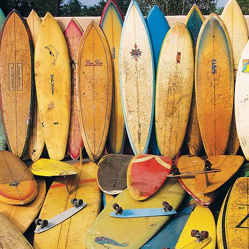 Sara Radcliffe Photo 18 Sara Radcliffe Photo 18