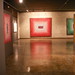 Carol Goldberg Photo 21