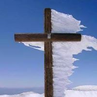 Donna Curtis Photo 13