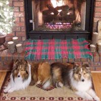 Julia Woodward Photo 11