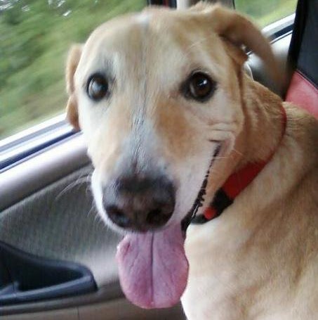 Kathy Dewitt Photo 5