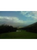 Thomas Wood Photo 9