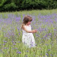 Sandra Barnhill Photo 26