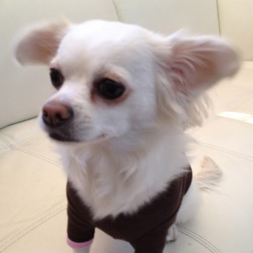 Doris Wright Photo 10