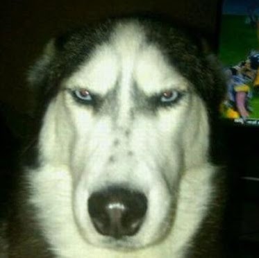 Johnny Robinson Photo 30