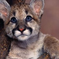 Christopher Foster Photo 48