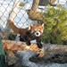 Tan Chang Photo 7