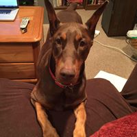 Denise Reinke Photo 3