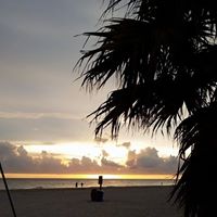 Susan Garrison Photo 19