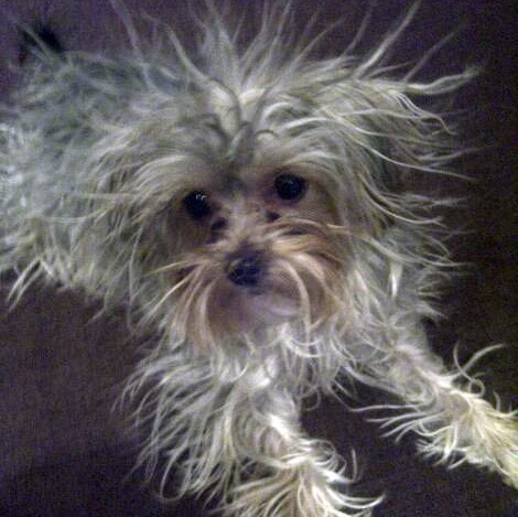 Michael Burger Photo 26 Michael Burger Photo 26