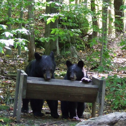 Amy Richmond Photo 19