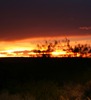 Stephen Myers Photo 35