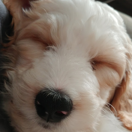 Melissa Kimble Photo 31