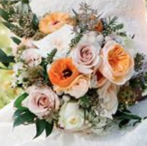 Claire Bergeron Photo 14