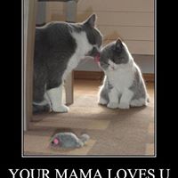 Terry Rutledge Photo 11