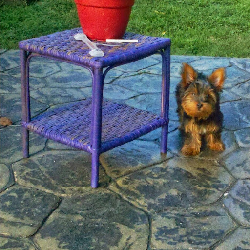 Patrick Schulte Photo 42