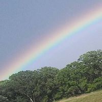 Sue Krohn Photo 11
