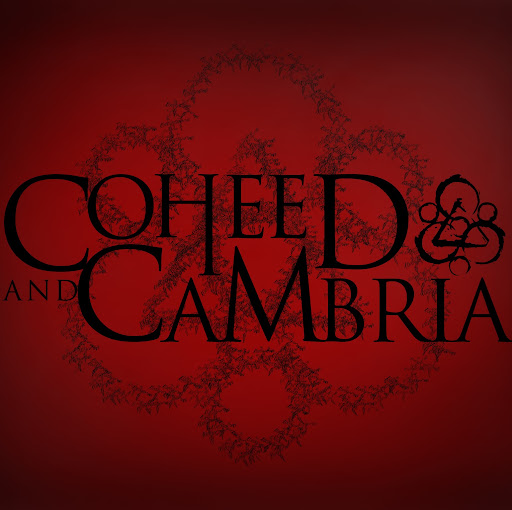 Shawn Betts Photo 13