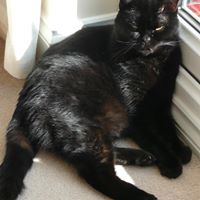 Julie Castle Photo 10