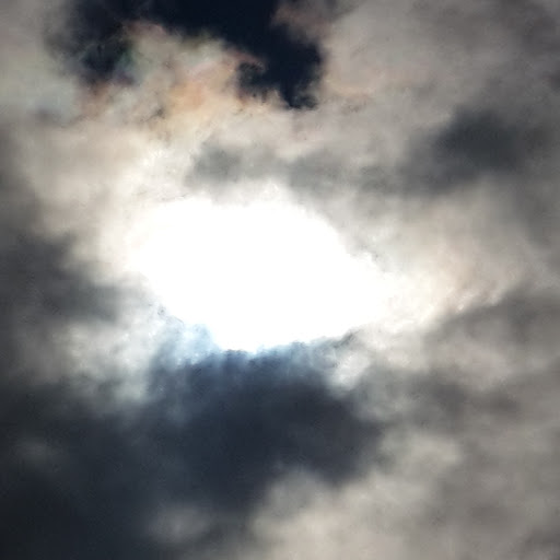 Daniel Distel Photo 2