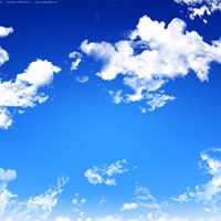 Shamsul Arefin Photo 8