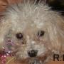 Kimberly Deleon Photo 10
