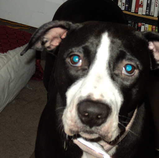 Shirley Blaine Photo 1