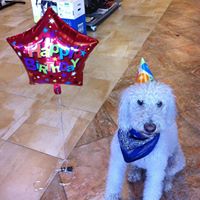 John Silvia Photo 15