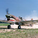 Curtiss Anderson Photo 8