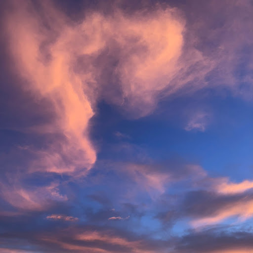 Kathleen Keogh Photo 19